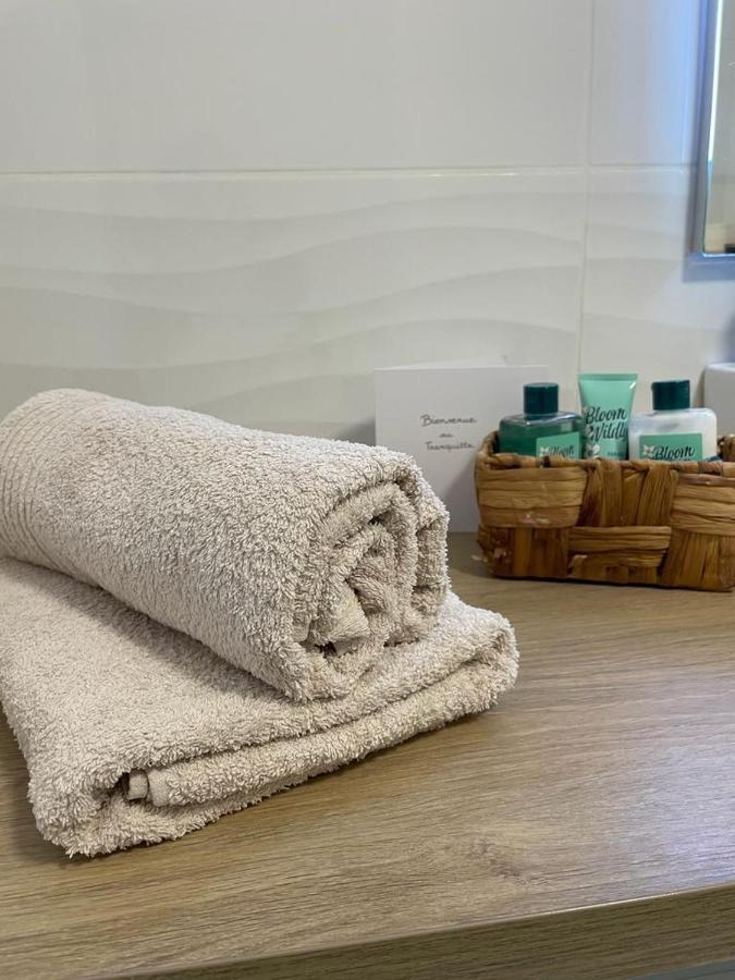 Le Tranquille - Calme - Parking Prive Apartamento Ambilly Exterior foto